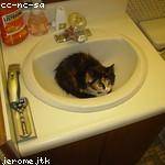 Emelie Rempel Profile Picture