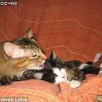 Dalton Wintheiser Profile Picture