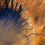 Rachael Durgan Profile Picture