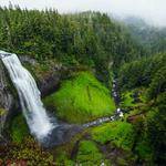 Gunnar Windler Profile Picture