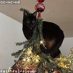 Ardith Wintheiser Profile Picture