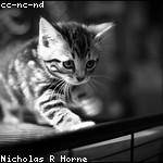 Brisa Mills Profile Picture