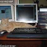 Rupert Beier Profile Picture