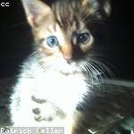 Susan Wisoky Profile Picture