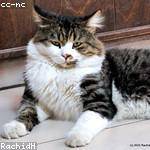 Daron Wyman Profile Picture