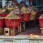 Edwardo Weber Profile Picture