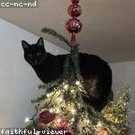 Jacynthe Emmerich Profile Picture