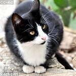 Brennan Emard Profile Picture