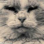 Jewel Casper Profile Picture