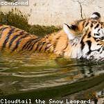 Linda Schultz Profile Picture