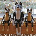 Tyree Howe Profile Picture