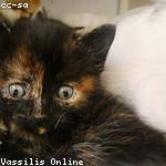 Jacky Reichel Profile Picture