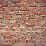 Julianne Glover Profile Picture