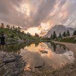 Seamus Buckridge Profile Picture