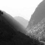 Lily Murray Profile Picture