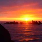 Allene Altenwerth Profile Picture