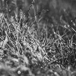 Enoch Volkman Profile Picture