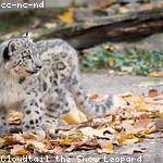 Charlene Kunze Profile Picture