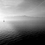 Robin Bernhard Profile Picture