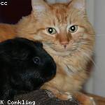 Felicity Kuphal Profile Picture