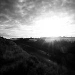 Makenzie Goodwin Profile Picture