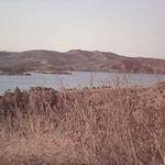 Maya Fahey Profile Picture