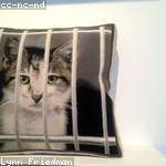 Amina Fadel Profile Picture