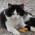 Steve Bartell Profile Picture