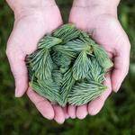 Sandrine Hudson Profile Picture