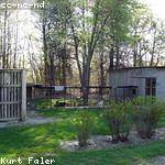 Kristin Larson Profile Picture