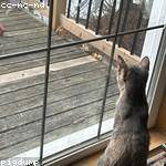 Rodrigo Ziemann Profile Picture