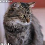 Aimee Stiedemann Profile Picture