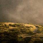 Candelario Barton Profile Picture