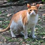 Burley Stokes Profile Picture