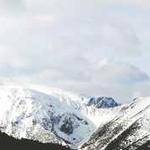 Dennis Wolf Profile Picture