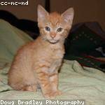 Carlos Marks Profile Picture