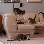 Renee Breitenberg Profile Picture