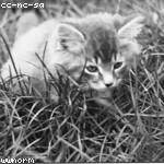 Bessie Pagac Profile Picture