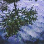 Stacey Collins Profile Picture