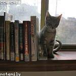 Wanda McGlynn Profile Picture