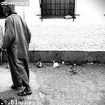 Roderick Mueller Profile Picture