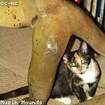 Herminia Gibson Profile Picture