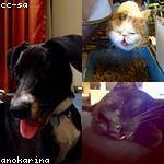 Fatima Bogan Profile Picture