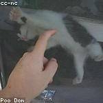 Zita Reynolds Profile Picture