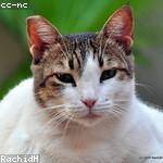 Dorthy Nitzsche Profile Picture