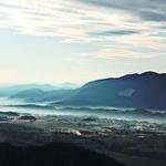 Tina Ortiz Profile Picture