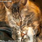 Ezekiel Lebsack Profile Picture