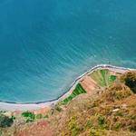 Kailey Brekke Profile Picture