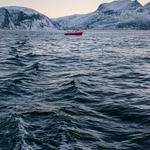 Ofelia Terry Profile Picture