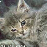 Bertha Kemmer Profile Picture